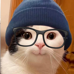 kyoske profile image