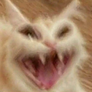 오우아어1 profile image