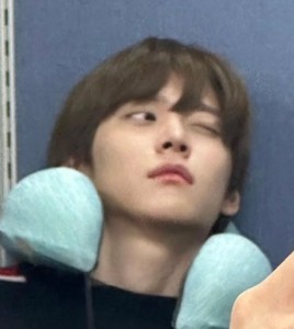 브보싶 profile image