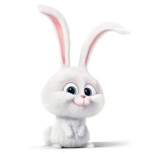 토실 profile image