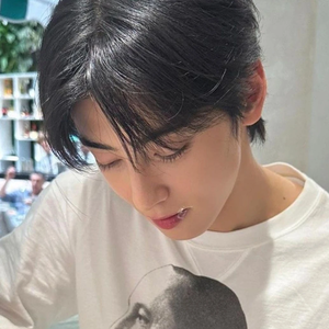 메탈로즈 profile image