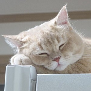 onlyjaehyunq profile image
