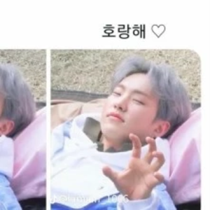 호싱이호랑행 profile image