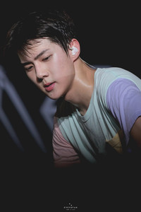 ohhunnn profile image