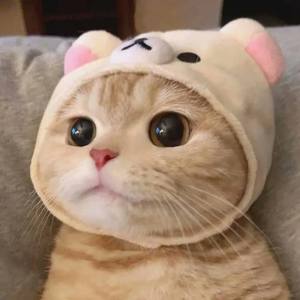 솜냥 profile image