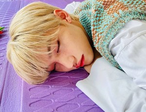 스테이입니당 profile image