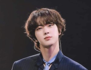 TeamSeokjinWins profile image