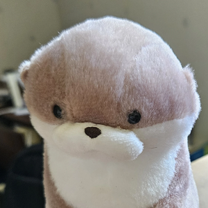 브라더점 profile image