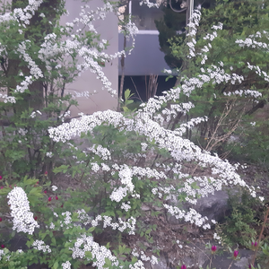 4fc428ff93c21dccf5b823fbec60b9fe profile image