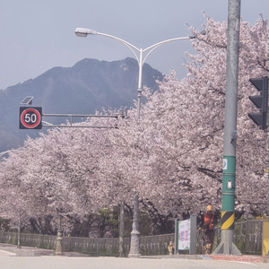 백혀니ღ profile image