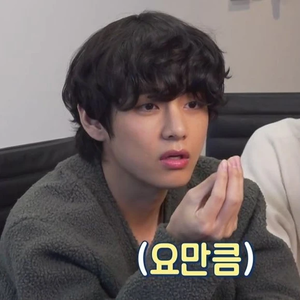 티끌모아태형 profile image