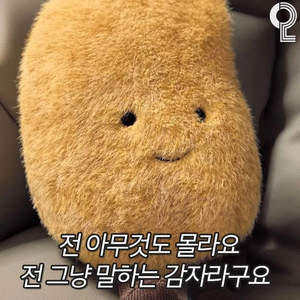 콩두푼 profile image