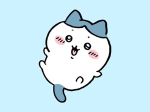 유미자 profile image