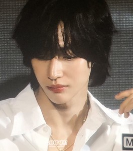 Willie profile image