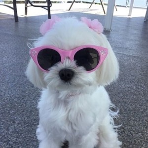 쥬쥬공쥬밈 profile image