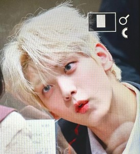 최수빈도파민 profile image