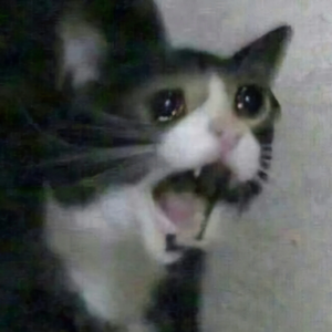 김씨아rrr미 profile image