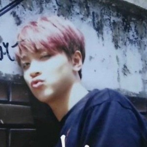 엘리제를위하여 profile image