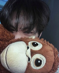 한태산죽부인 profile image