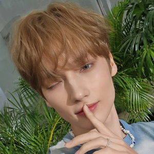 모아인뎁쇼 profile image