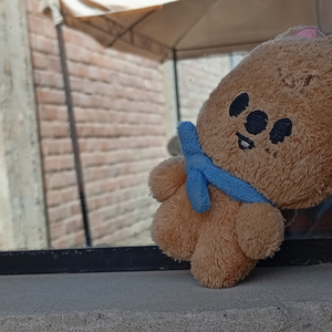 halimufer profile image