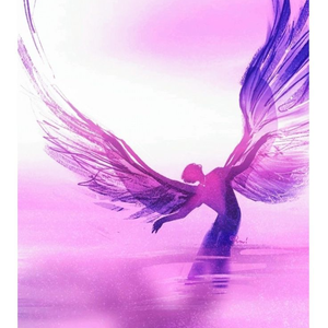 hình ảnh hồ sơ cá nhân