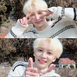 sy130618sy profile image