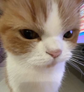 upon88 profile image