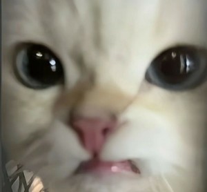 명표윤 profile image