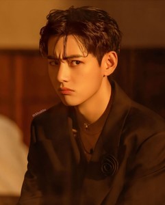 hình ảnh hồ sơ cá nhân