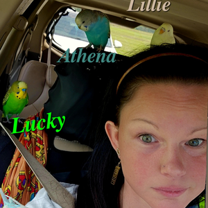 FeiLong88 profile image