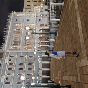 캣프의정석 profile image