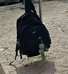 단비링 profile image