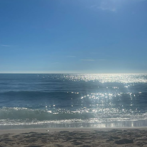 소피스트 profile image