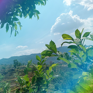 kalpanapar profile image