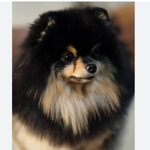 kimrubab profile image