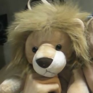 표효하는티라노 profile image