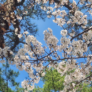 사이651 profile image