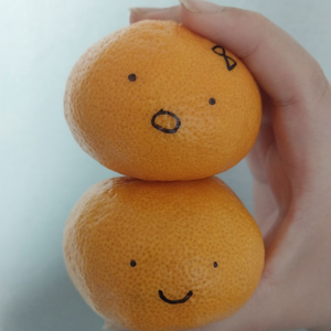 이러택2 profile image